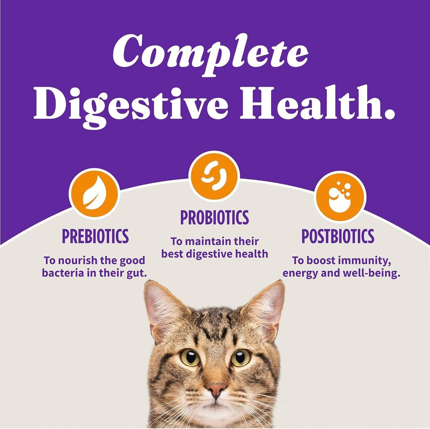 Halo Holistic Cage Free Chicken Cat Food, Healthy Grains Dry Cat Food, Complete Digestive Health, Kibble for Adult Cats, 6 lb Bag