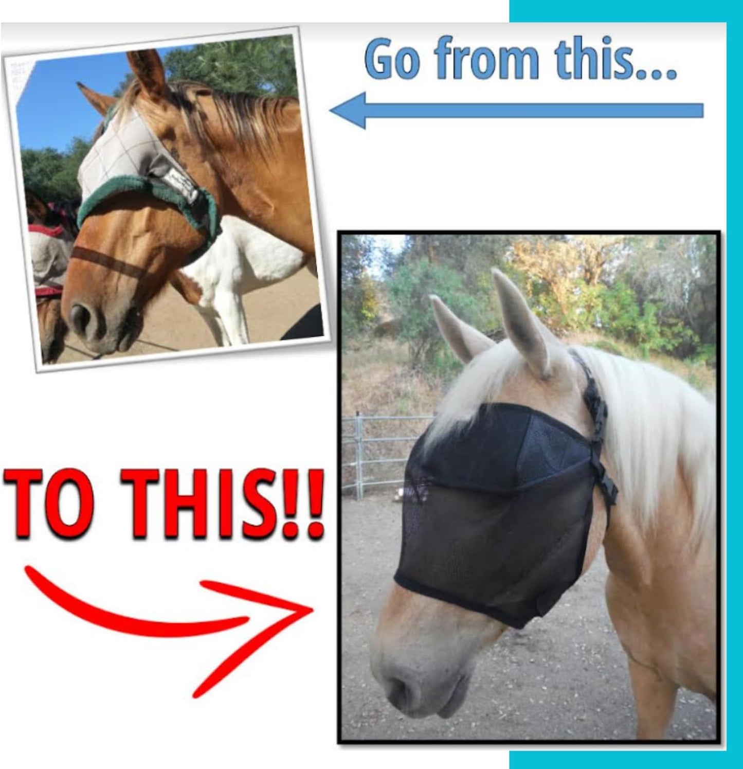 EquiVizor 95% UV Eye Protection (Full) Standard Horse Fly Mask - Help with Uveitis, Corneal Ulcer, Light Sensitivity. Designed to Stay On Your Horse, Off The Ground.