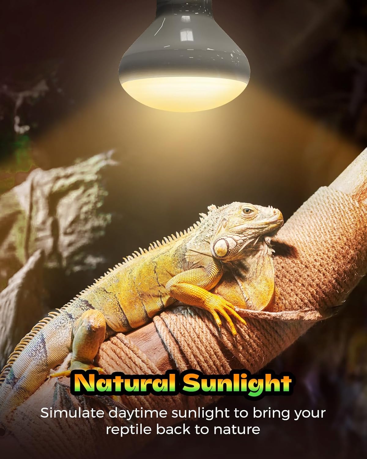 Reptile Heat Lamp, 2 Pack 100W Heat Lamp Bulbs for Reptiles, Amphibians Basking Heat Lamp Bulbs, UVA Daylight Basking Light for Reptiles, Bearded Dragon, Lizard, Turtle, Chicken