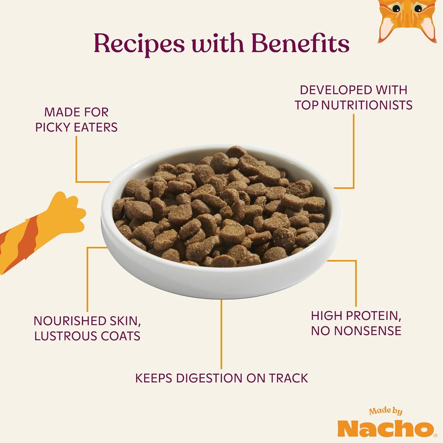 Made by Nacho Dry Cat Kibble 2lb Bag, High Protein and Grain-Friendly Premium Cat Food, Sustainably Caught Salmon and Pumpkin, Infused with Bone Broth for Hydration, Limited Ingredients, Single Bag