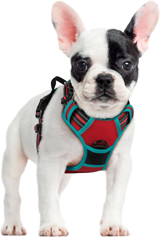 rabbitgoo Dog Harness No Pull with 2 Leash Clips, Adjustable Soft Padded, Reflective Oxford No Choke Pet Vest with Easy Control Handle for Small Dogs, Red & Teal, S