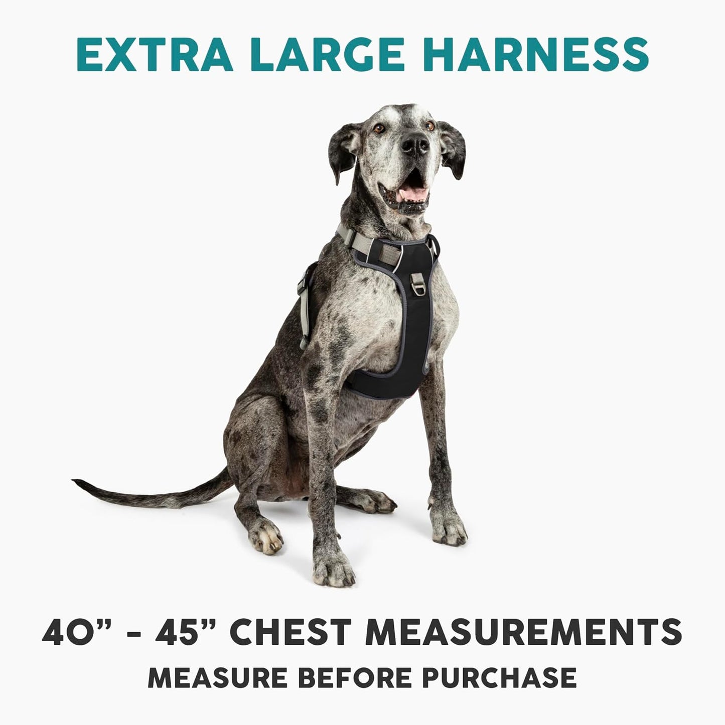 Embark Adventure Dog Harness, Reflective Trim XL Harness for Extra Large Dogs No Pull - Military Grade Nylon, 2 Leash Clips & Gel Lined Handle. Soft & Padded Puppy Dog for Any Breed