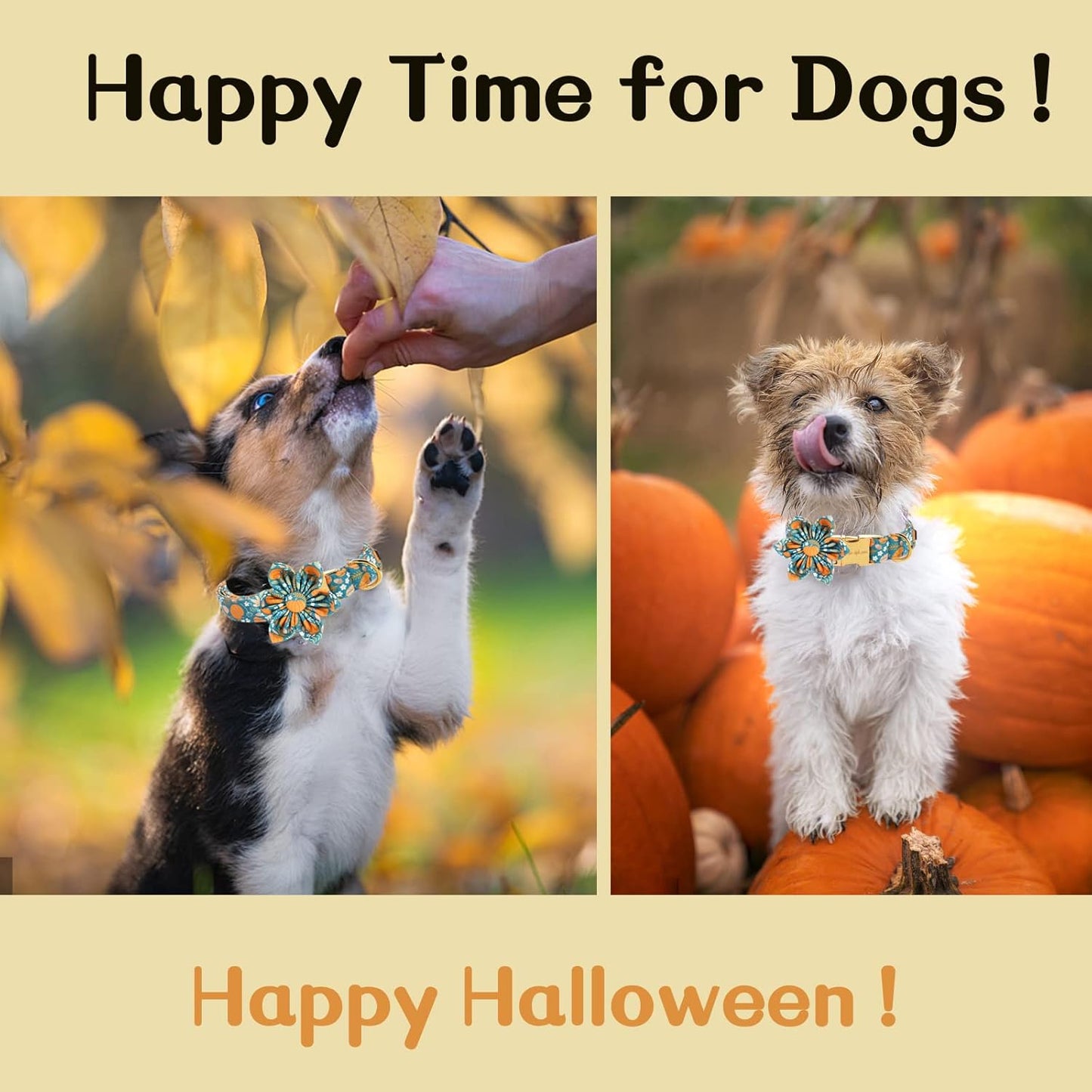 Unique style paws Halloween Dog Collar with Flower Tie Pumpkin Cotton Collar Adjustable Puppy Collar for Small Medium Large Dogs-XL