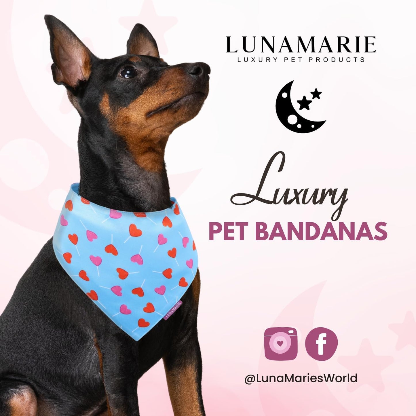 LunaMarie - Luxury Pet Birthday Bandanas -Premium & Silky Poly Fabric | 100% Handmade | Custom Shape Dual Layered (LoviePop, Large)
