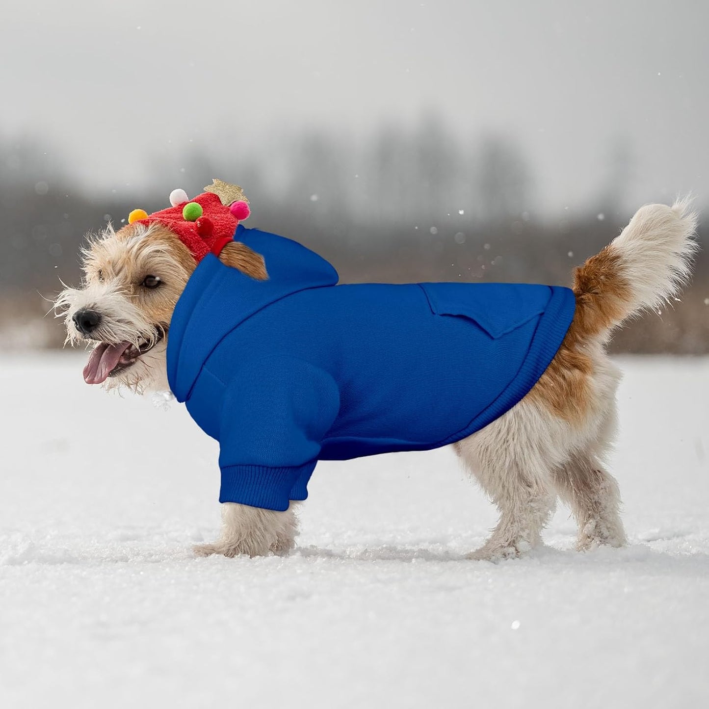 Dog Sweaters for Small Dogs Pet Sweater Solid Soft Brushed Fleece Dog Hoodie Clothes Pet Hoodie Sweatshirt with Pocket(Blue-XS)