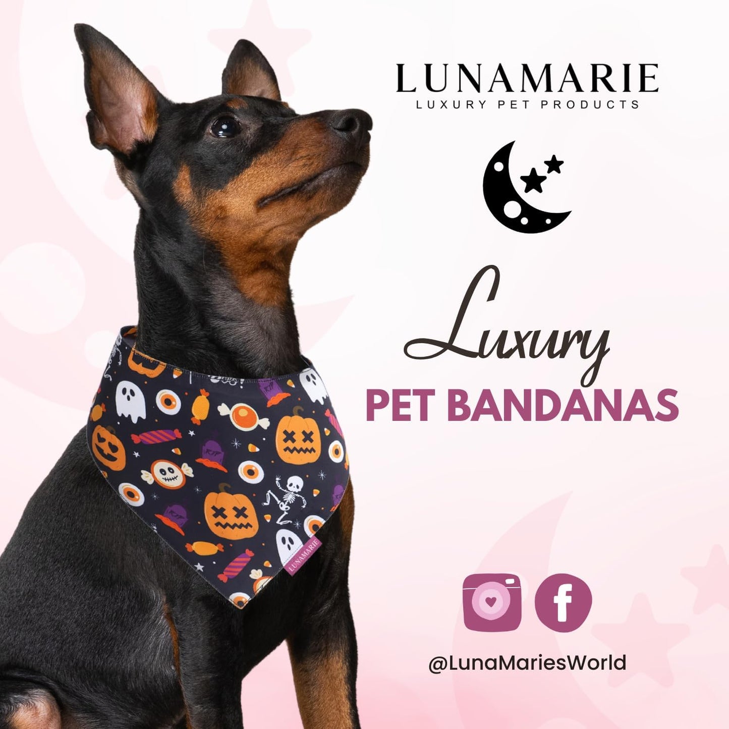 LunaMarie - Luxury Cat and Dog Bandanas - Halloween Designs | Premium Silky Poly Fabric | 100% Handmade Custom Shape Dual Layered Small, Medium, Large Cat Scarf (Trick-Or-Treat, Medium)