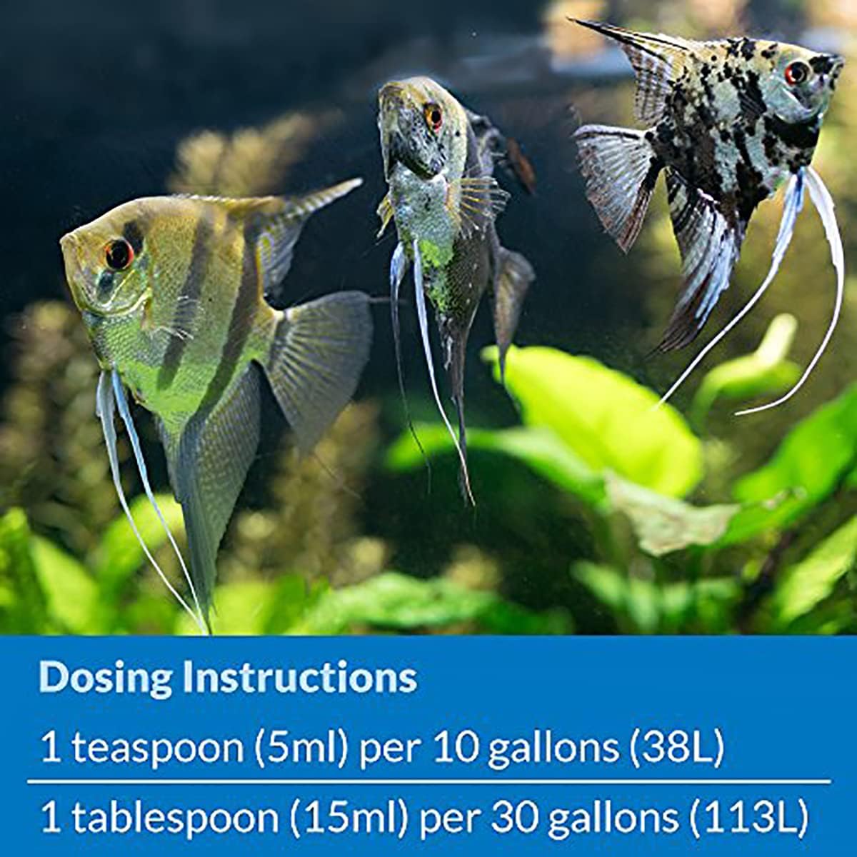 API STRESS ZYME Bacterial cleaner, Freshwater and Saltwater Aquarium Water Cleaning Solution, 8 oz