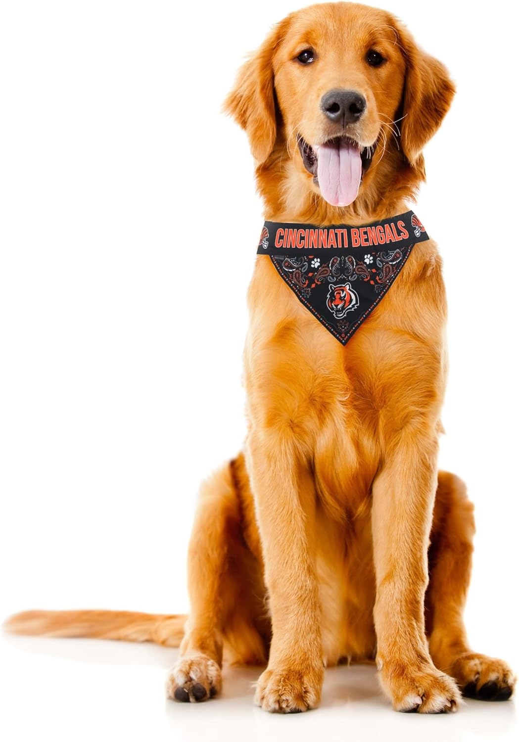 Littlearth NFL Pet Bandana - Reversible