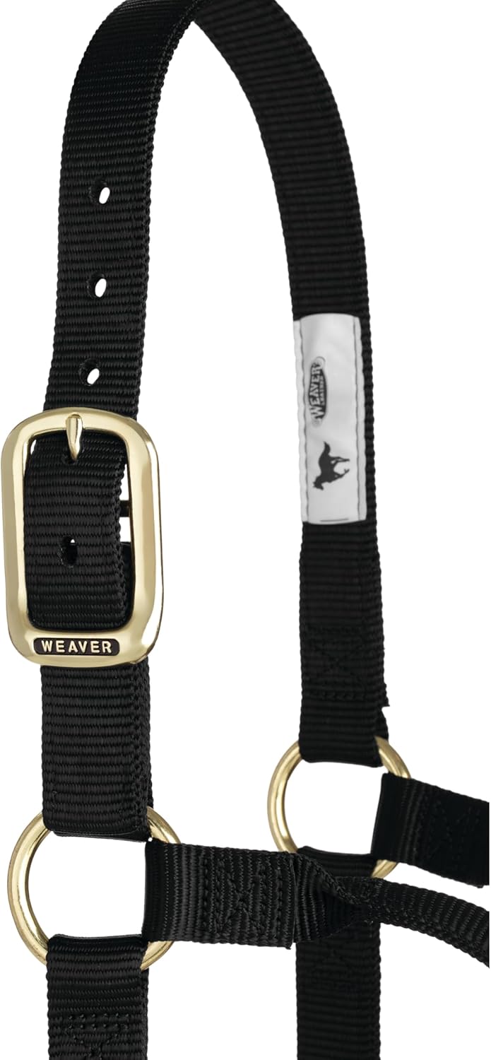 Weaver Equine Nylon Horse Halter, Triple-Ply Cheek Design, Original Non Adjustable Halters for Horses, Equine Tack,Average Size, Black