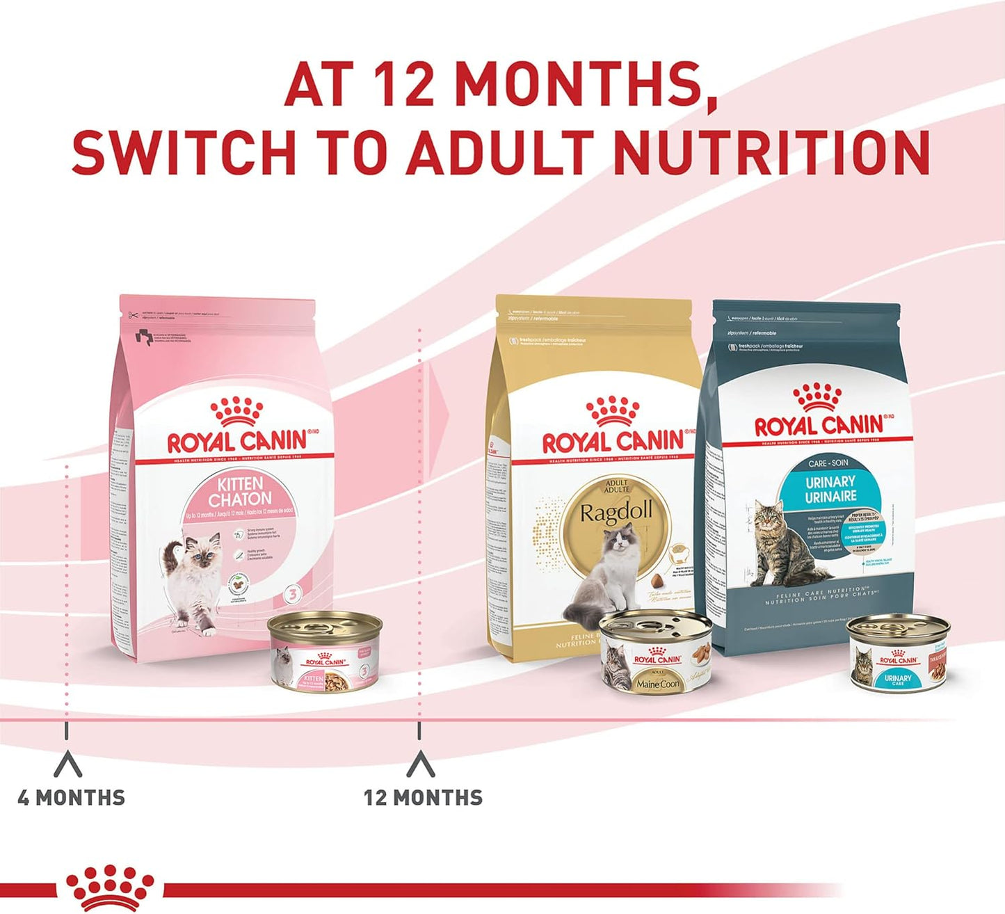 Royal Canin Feline Health Nutrition Kitten Thin Slices in Gravy Canned Cat Food, 3 oz can (6-pack)