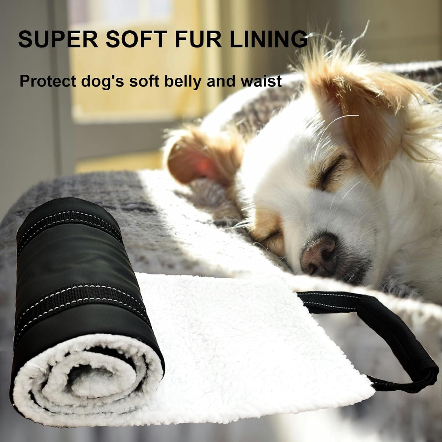 Dog Lift Harness - Adjustable Sling for Rear Legs with Soft Support for Senior, Injured, Disabled Dogs After ACL Surgery - Helping Pets with Canine Aid and Rehab Support (M)