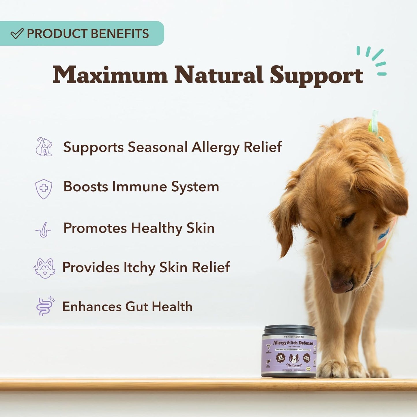 Natural Dog Company Allergy & Itchy Defense Chews 90 ct, Vet Strength High-Concentration Dog Allergy Relief with 2.4X Colostrum,2X Salmon Oil & 1.5X Probiotics, Supports Immune,Coat & Gut Health