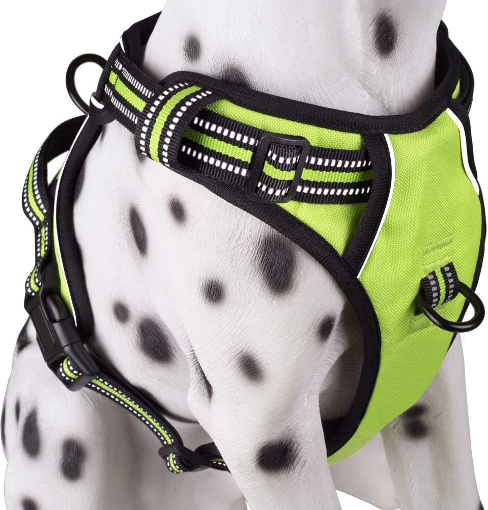 PoyPet No Pull Dog Harness, Reflective Comfortable Vest Harness with Front & Back 2 Leash Attachments and Easy Control Handle Adjustable Soft Padded Pet Vest for Small to Large Dogs (Green,S)