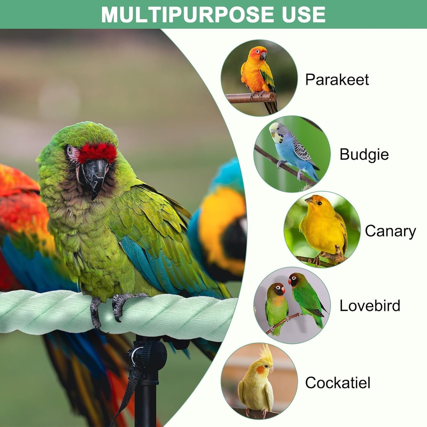 2-Pack Rope Perches for Bird Cages, 31.5 in Length Comfort Grip Flexible Rope Perch Beak & Paw Grinding for Parrots/Cockatiels/Parakeets, Bird Platform Sand [Cyan]