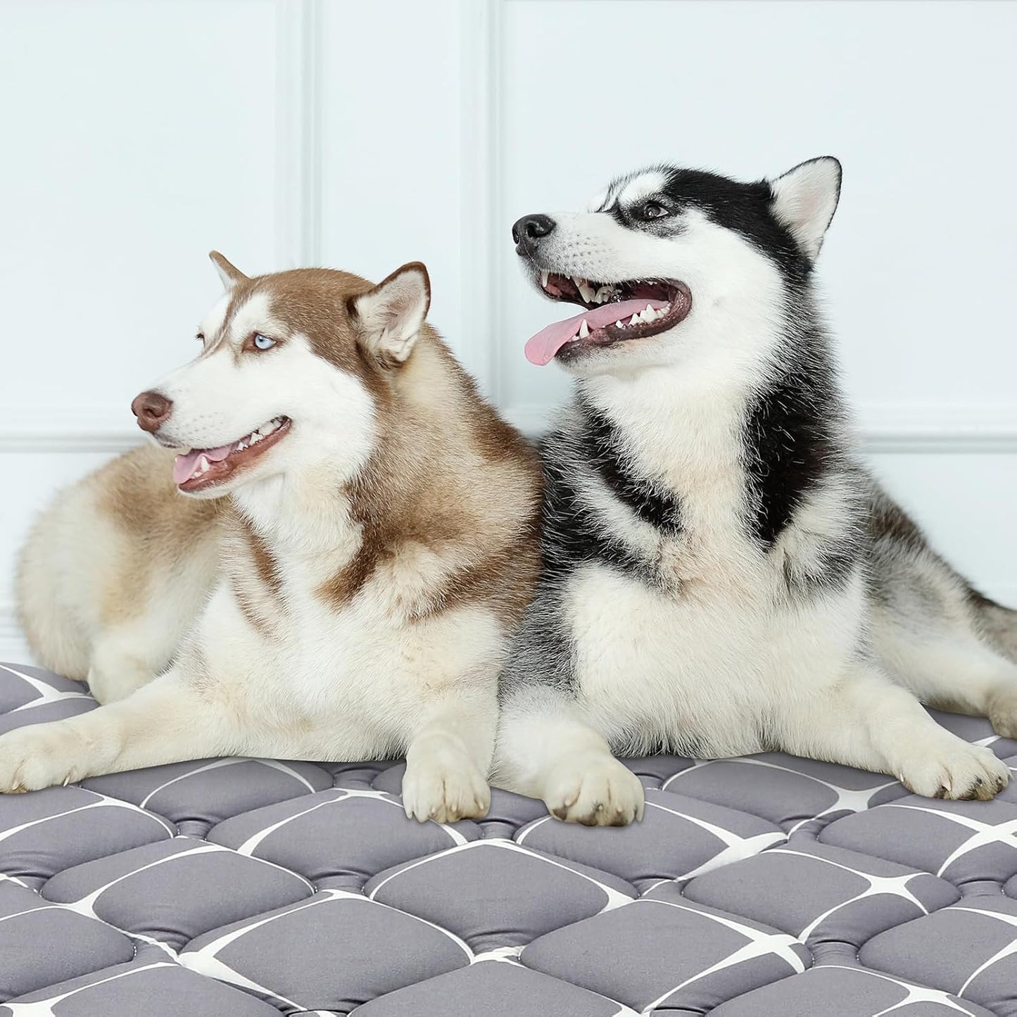 Bubble bear Dog Crate Mat - Ultra Soft, Washable & Anti-Slip Kennel Pad for Small/Medium/Large Dogs, Dark-Hued to Hide Stains (30"x19")