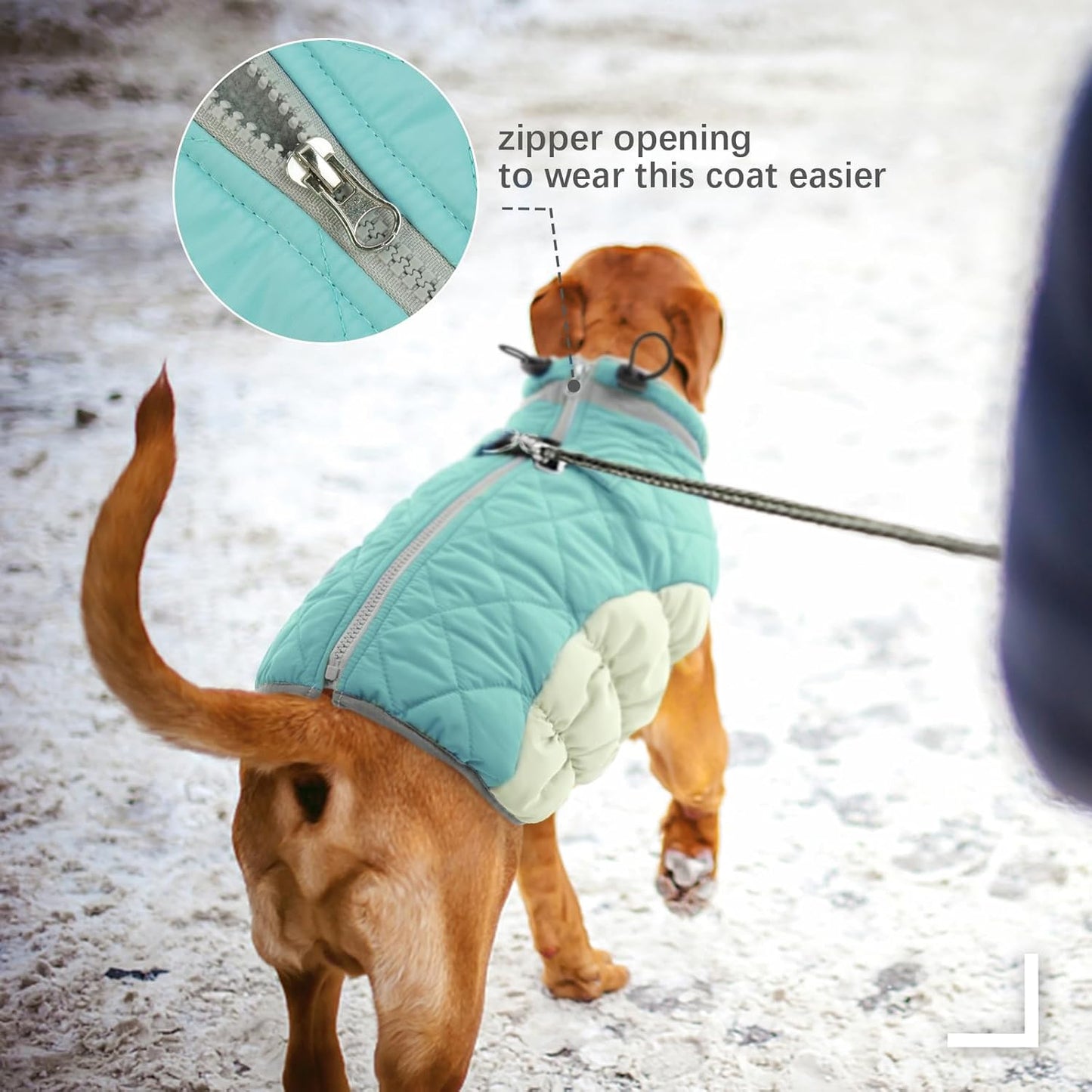 FUAMEY Dog Coat for Small Dogs,Waterproof Dog Winter Jacket with Harness Built in Puppy Cold Weather Coats Reflective Pet Vest with Zipper Warm Fleece Dogs Snowsuit Windproof Mint Green XS