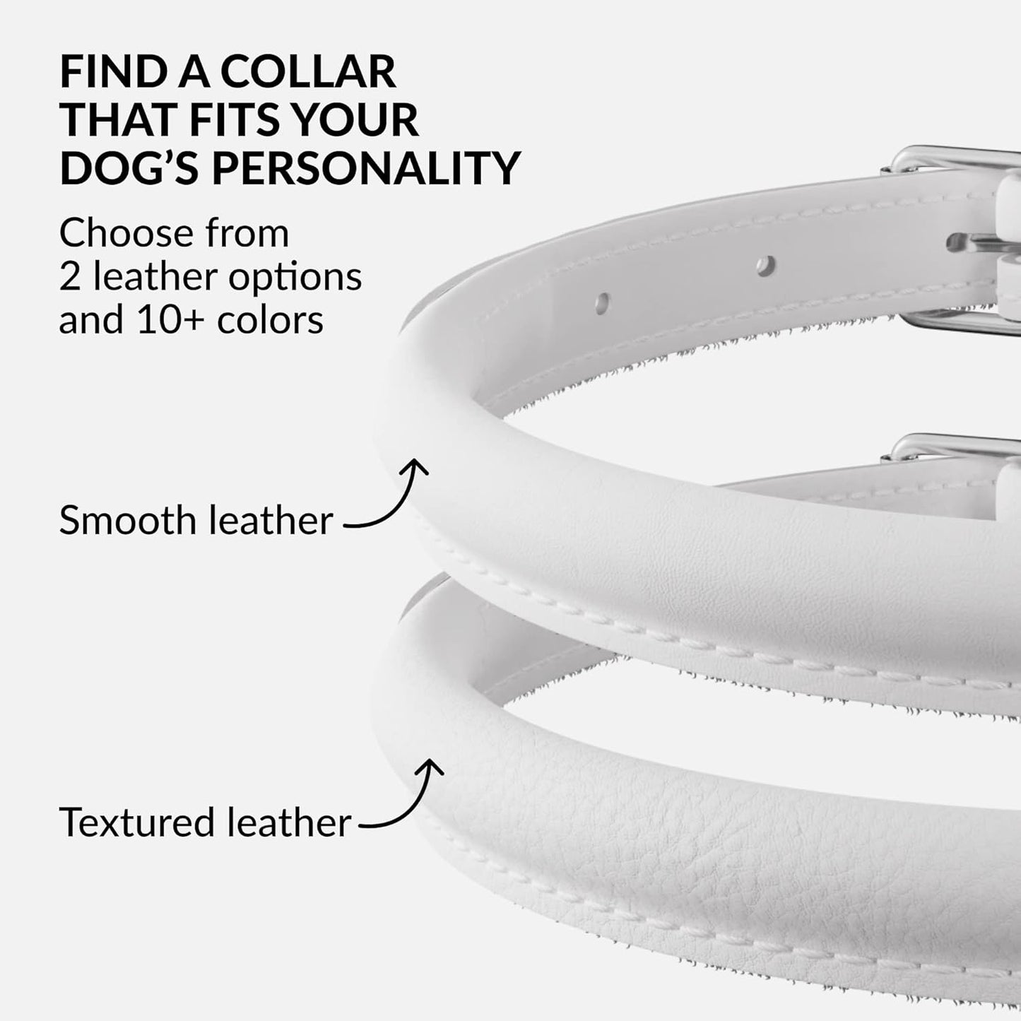 CollarDirect Rolled Leather Dog Collar, Soft Padded Round Puppy Collar, Handmade Genuine Leather Collar Dog Small Large Cat Collars 13 Colors (13-16 Inch, White Smooth)