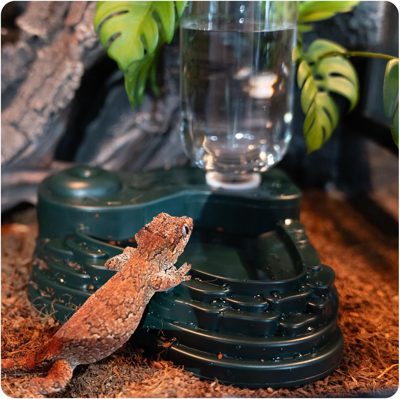 Reptile Fogger and Water Bowl 2 in 1, Mini Reptile Humidifier with Water Dish for Reptile Amphibian Lizard Gecko, Smart Water Dispenser