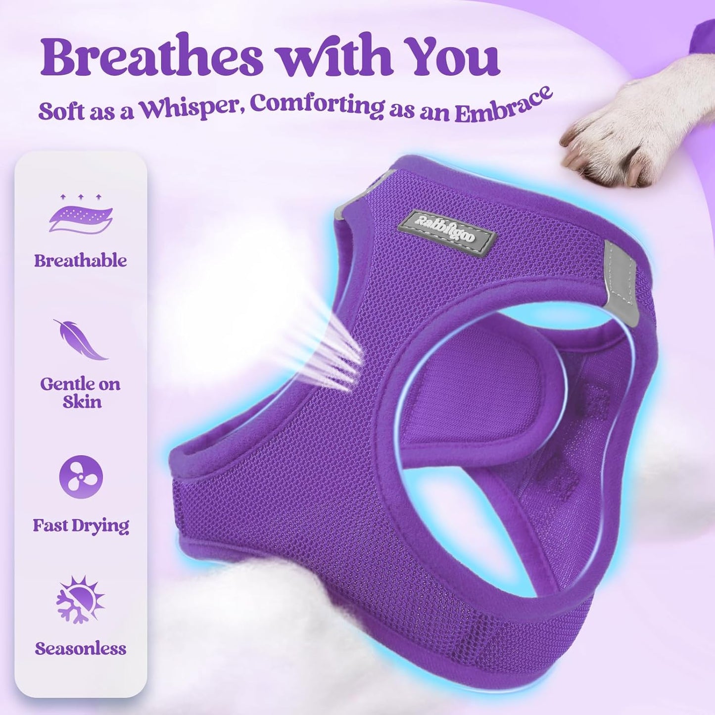 rabbitgoo Dog Harness Small Sized and Leash Set, Step in Soft Light Puppy Vest, Breathable Mesh Pet Harness, Reflective for Safe Outdoor Walking, Purple S