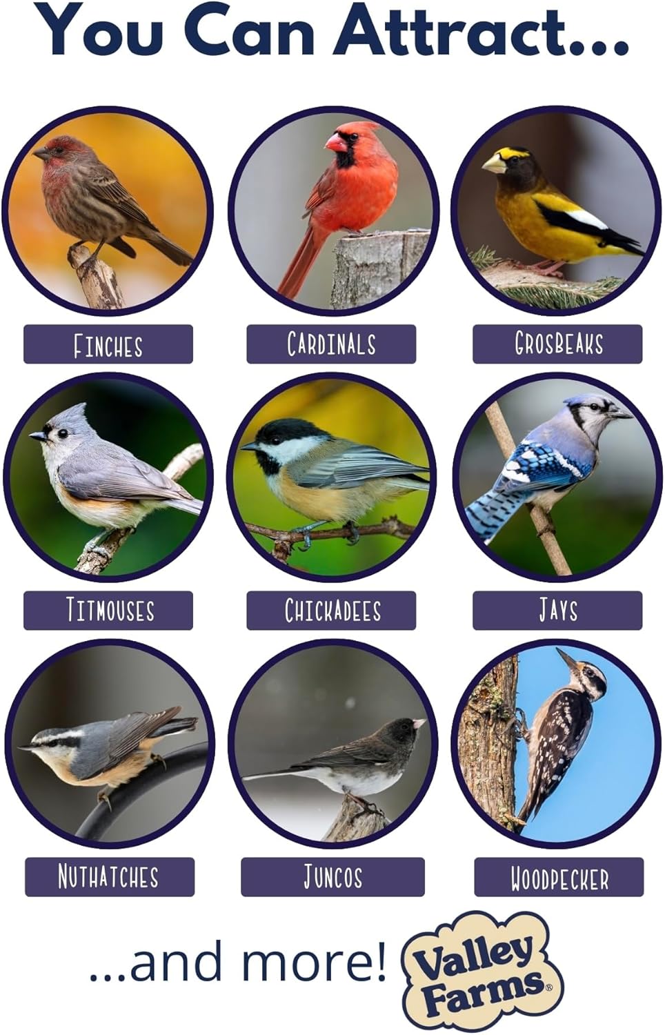 Valley Farms Woodpecker Mix (15 LB) Wild Bird Food for Outdoor Feeders, No Mess Bird Seed, W/Peanuts and Sunflower Hearts for Birds, Woodpecker Food, Attract All Bird Species