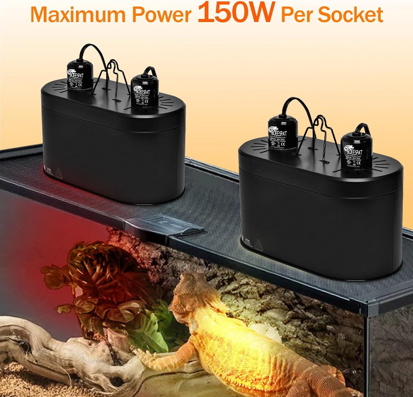 Dual Reptile Reflector Dome Lamp Fixture Cap with Separate Switches for Reptile & Amphibian Habitat Terrariums (Max 150W)
