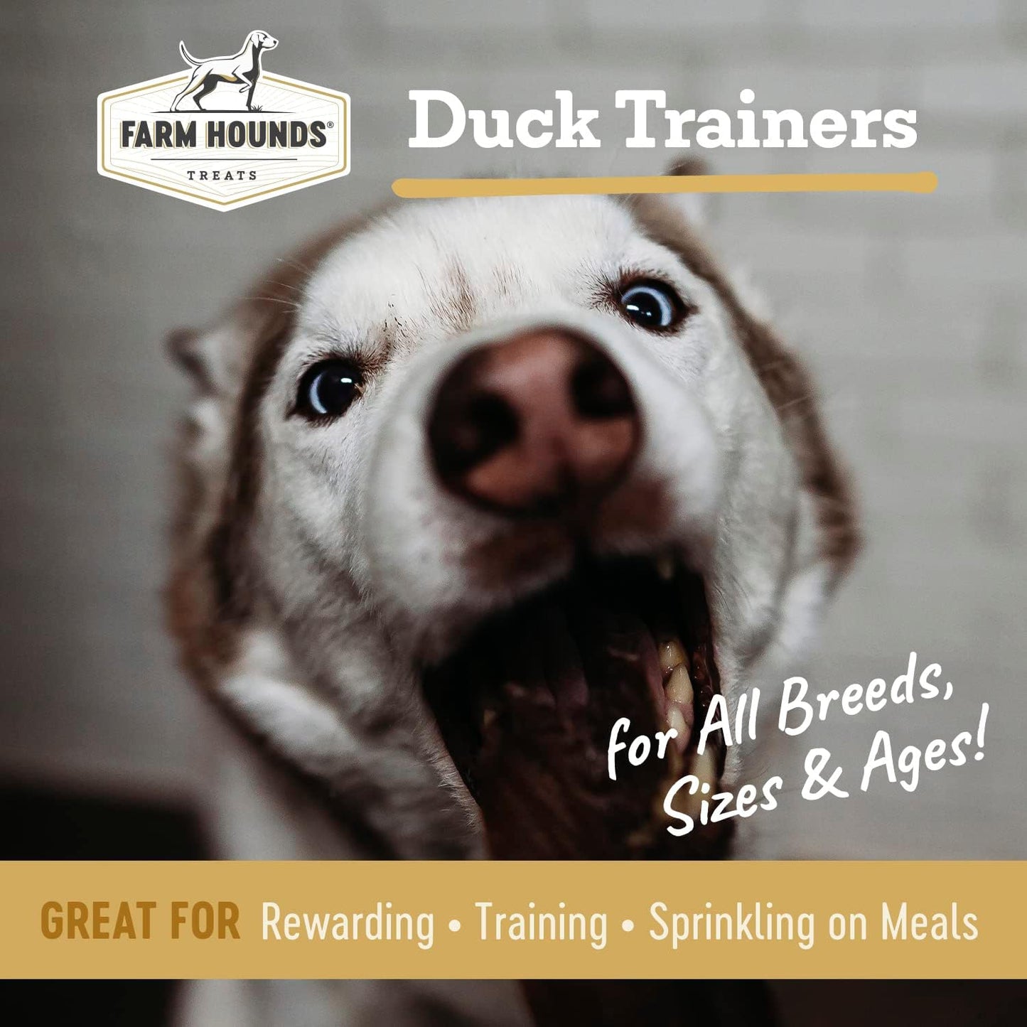 Farm Hounds - Duck Trainers - Premium Natural Jerky for Dogs - 100% Humanely Raised - Easy-Break - Great for Training & Treats - No Added Fillers - Made in USA - 4.5 oz - 1 Pack