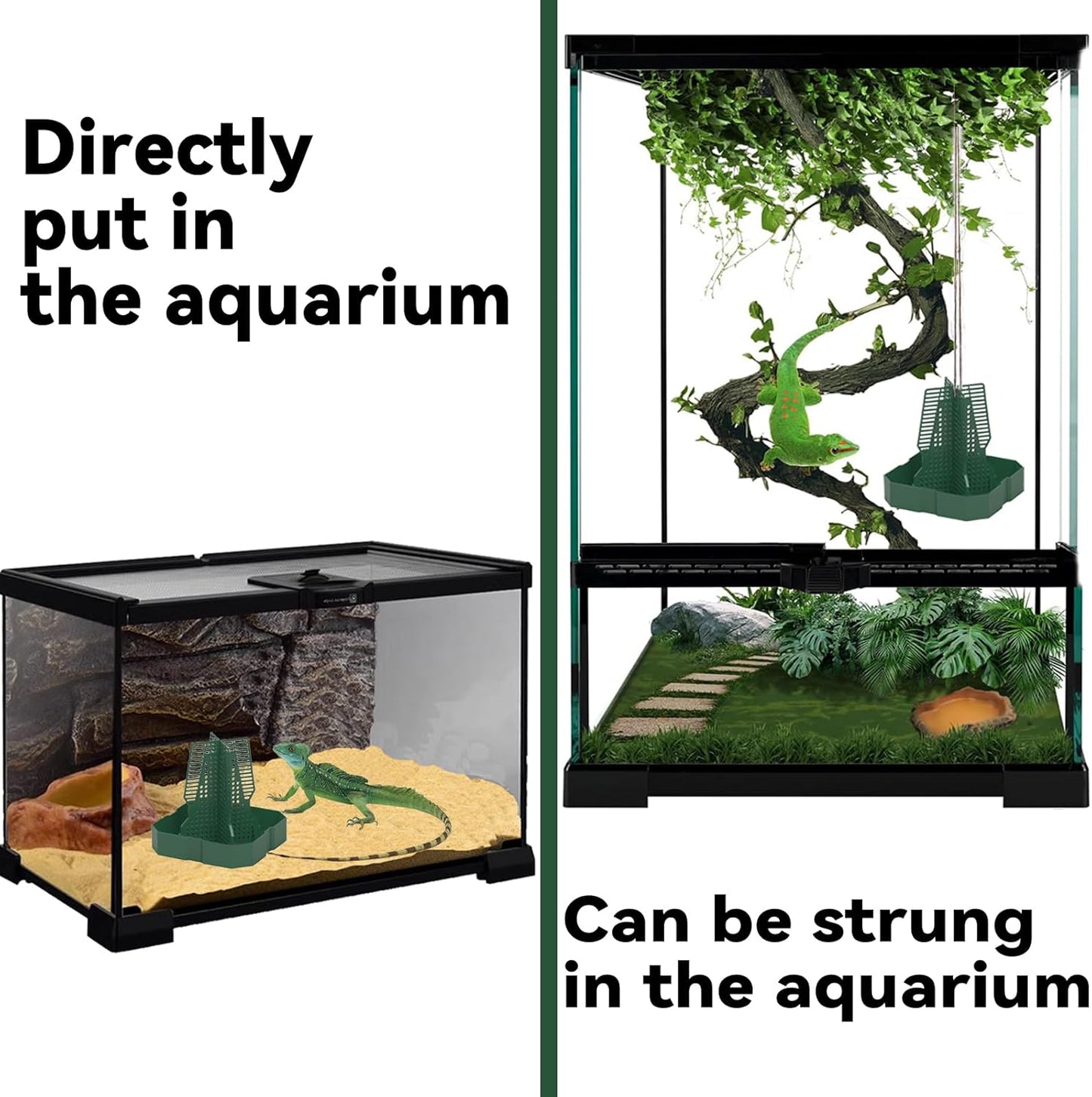 Chameleon Feeder+Bearded Dragon Feeder for Mounted Insect with Rope and Tweezers, Tank and Aquarium Accessories for Lizard, Bearded Dragon, Gecko, Frog（Medium）