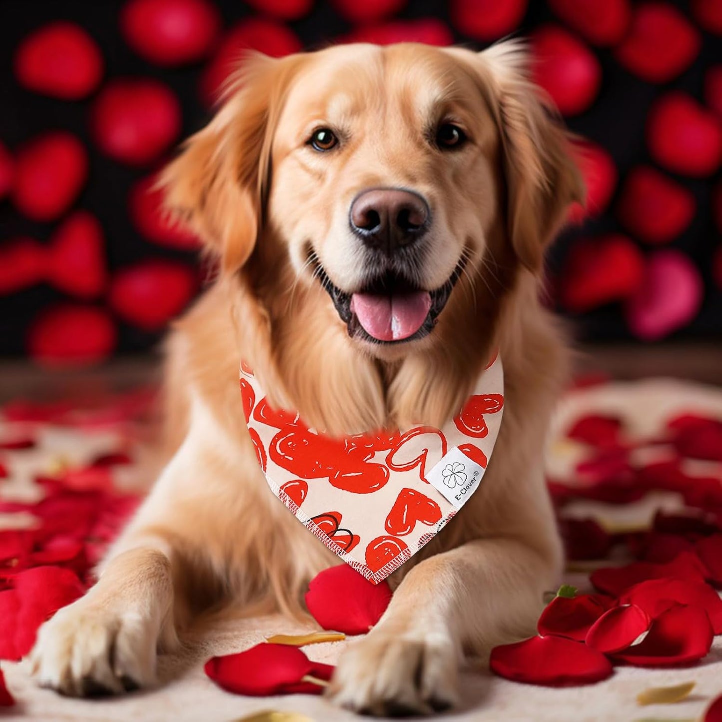 E-Clover Cute Dog Bandana & Matching Scrunchie-Heart Dog Bandanas Red Pet Scarf Bib for Medium Large Dogs Girl Boy Owner Mothers Day Mom Gift