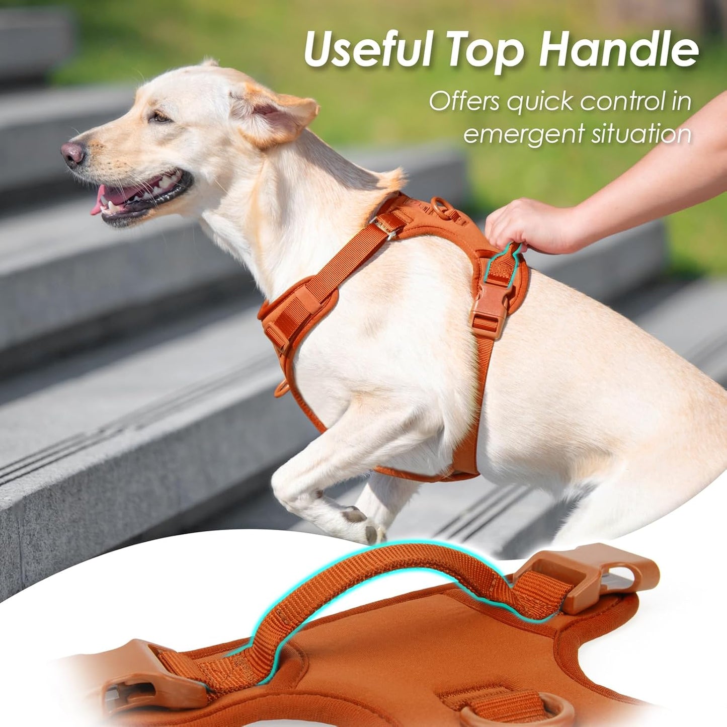 No Pull Dog Harness, Puppy Vest with Front Clip for Small Medium Large Sized Dog(Carmel Brown,XS)
