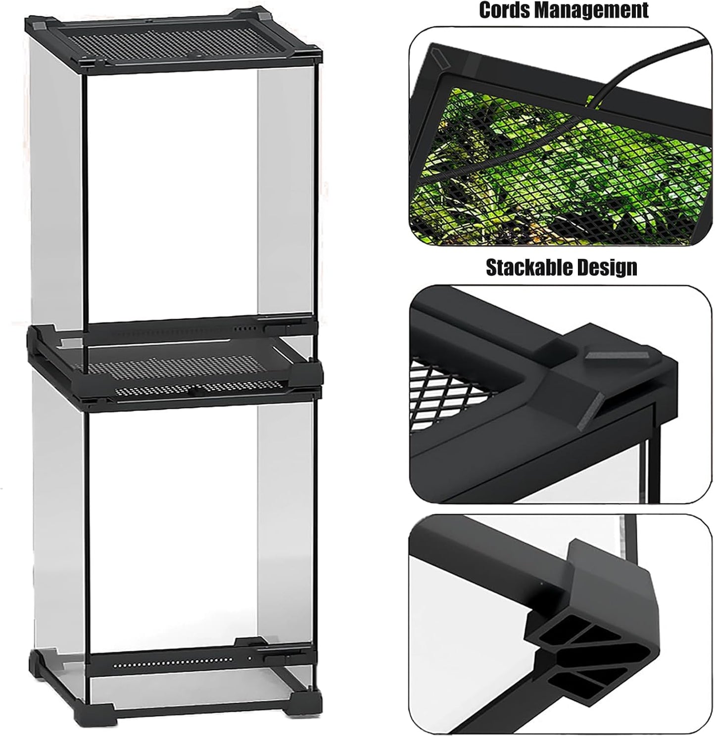 Woyrise Reptile Glass Terrarium Tank 8"x8"x12", Front & Top Opening Door Full View Visually Appealing Mini Reptile or Amphibians Habitat, Stackable Vertical Enclousure for Small Reptiles