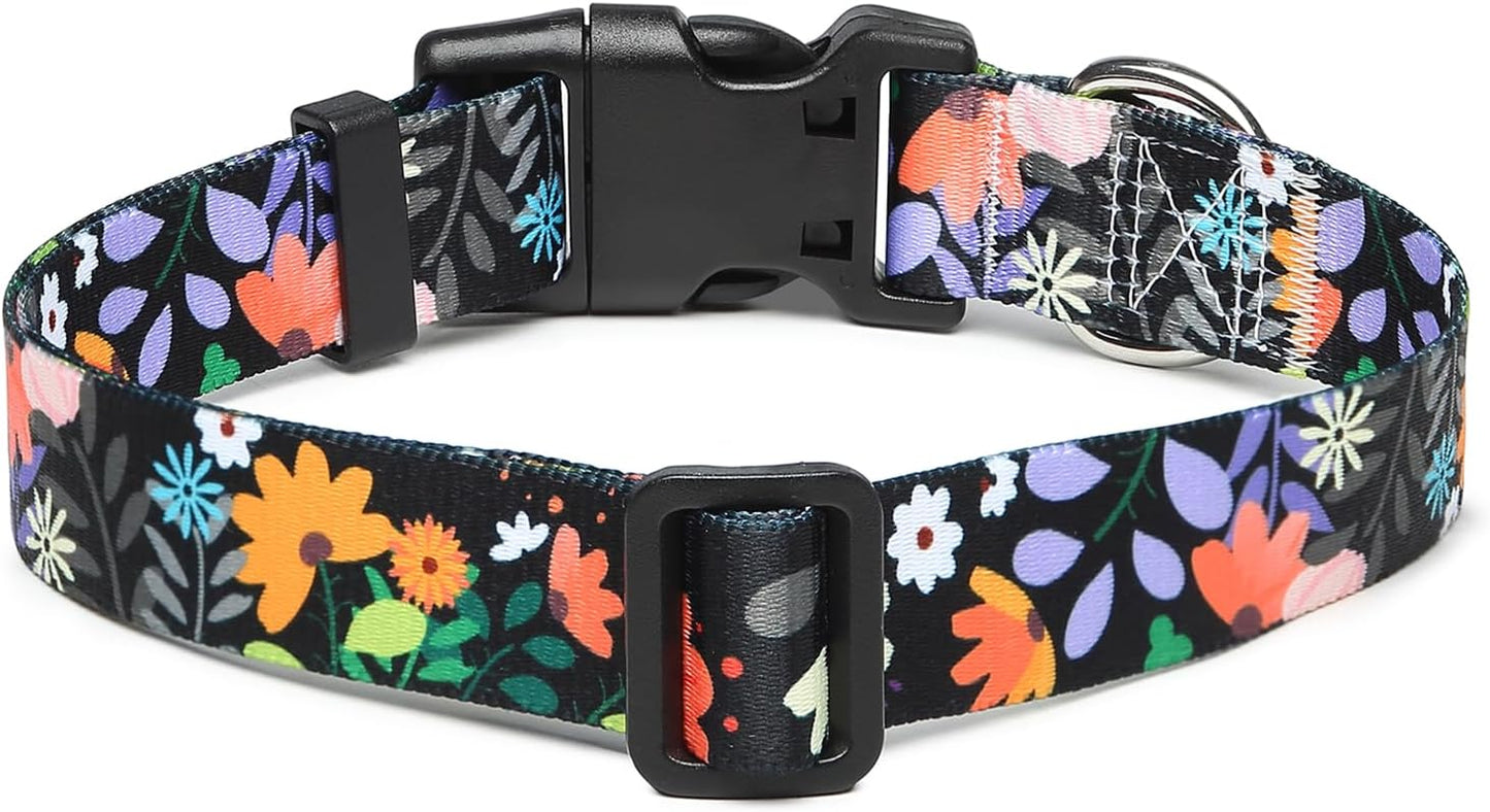 Mercano Adjustable Dog Collar - Special Design Patterns, Soft Nylon Comfortable Sturdy Pet Collar for Small Medium Large Dogs (XS, Floral Orange)