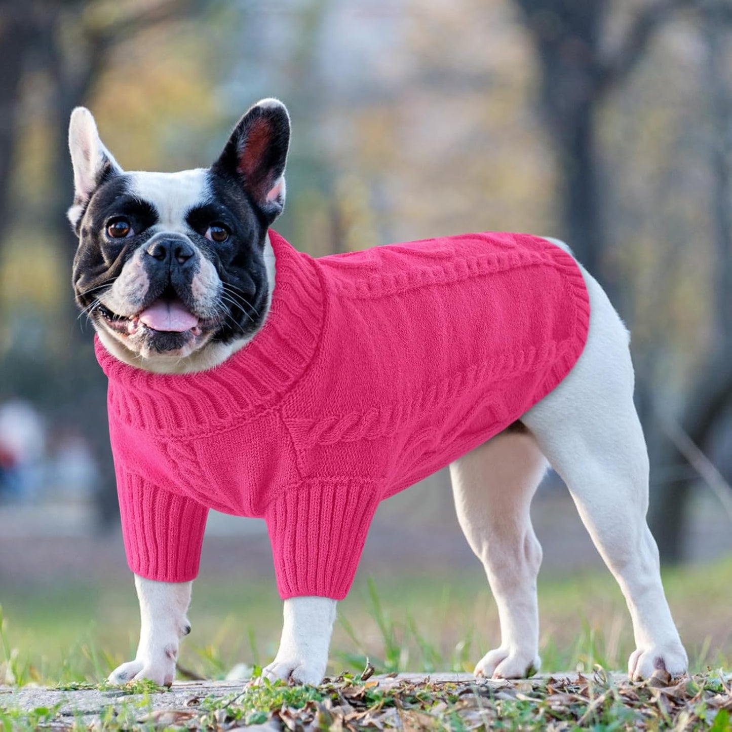 Queenmore Small Dog Pullover Sweater, Cold Weather Cable Knitwear, Classic Turtleneck Thick Warm Clothes for Chihuahua, Bulldog, Dachshund, Pug (Fuchsia, Medium)