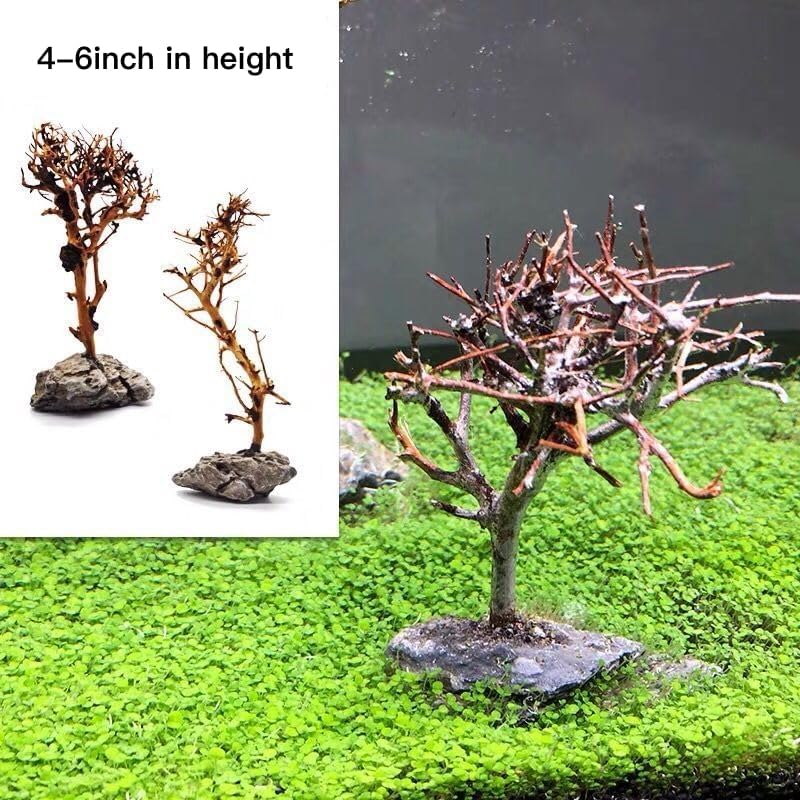2pcs Small Bonsai Aquarium Tree,4-6inch,Handmade Aquarium Bonsai Tree Aquarium Decor Tree
