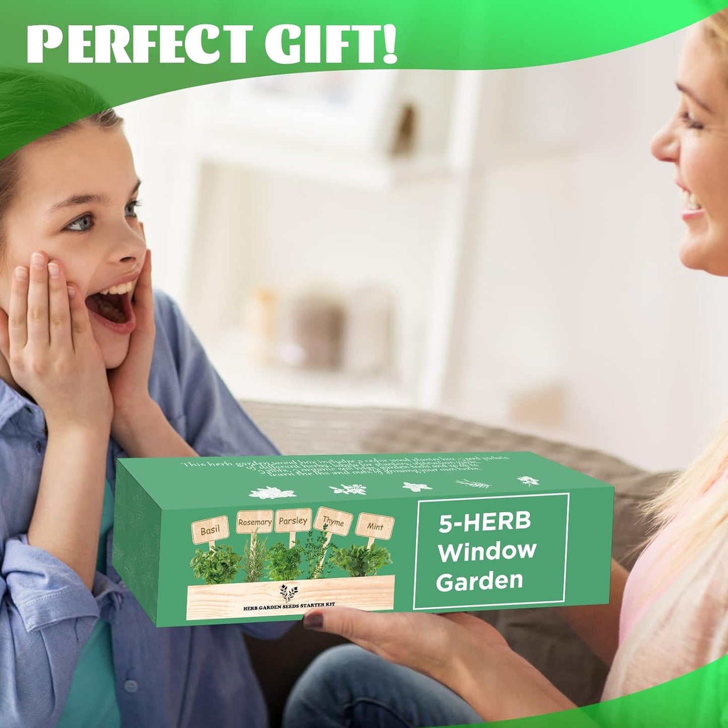 5 Herb Seeds Garden Starter Kit with Complete Planting Kit & Wooden Flower Box, Growing into Basil, Parsley, Rosemary, Thyme, Mint for Kitchen Windowsill Herb Garden DIY