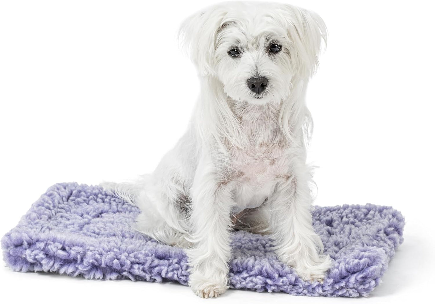 Stoutwool Indestructible Dog Bed - Fluffy Chew Proof Dog Crate Pad - Tough Kennel Pad for Aggressive Chewers - Ideal for Extra Small Breeds & Fits 22-Inch Crate - 21"x12", Jacaranda