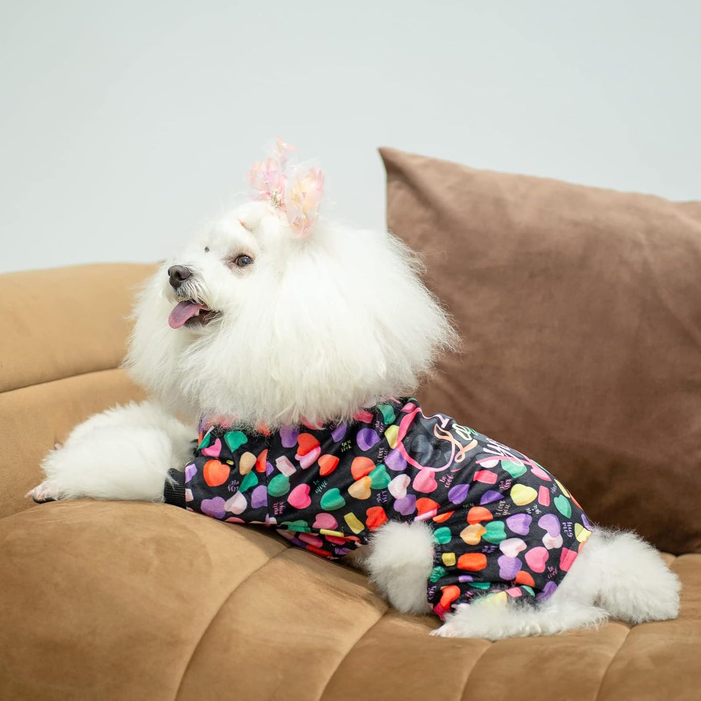 CuteBone Small Dogs Valentines Outfit Soft Puppy Onesies Pjs Dog Pajamas Pet Coat Cat Apparel Comfy Doggie Jumpsuit Bodysuit for All Seasons P272S