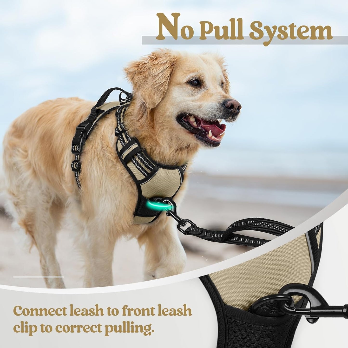 rabbitgoo Dog Harness No Pull with 2 Leash Clips, Adjustable Soft Padded, Reflective Oxford No Choke Pet Vest with Easy Control Handle for Small Dogs, Beige, S