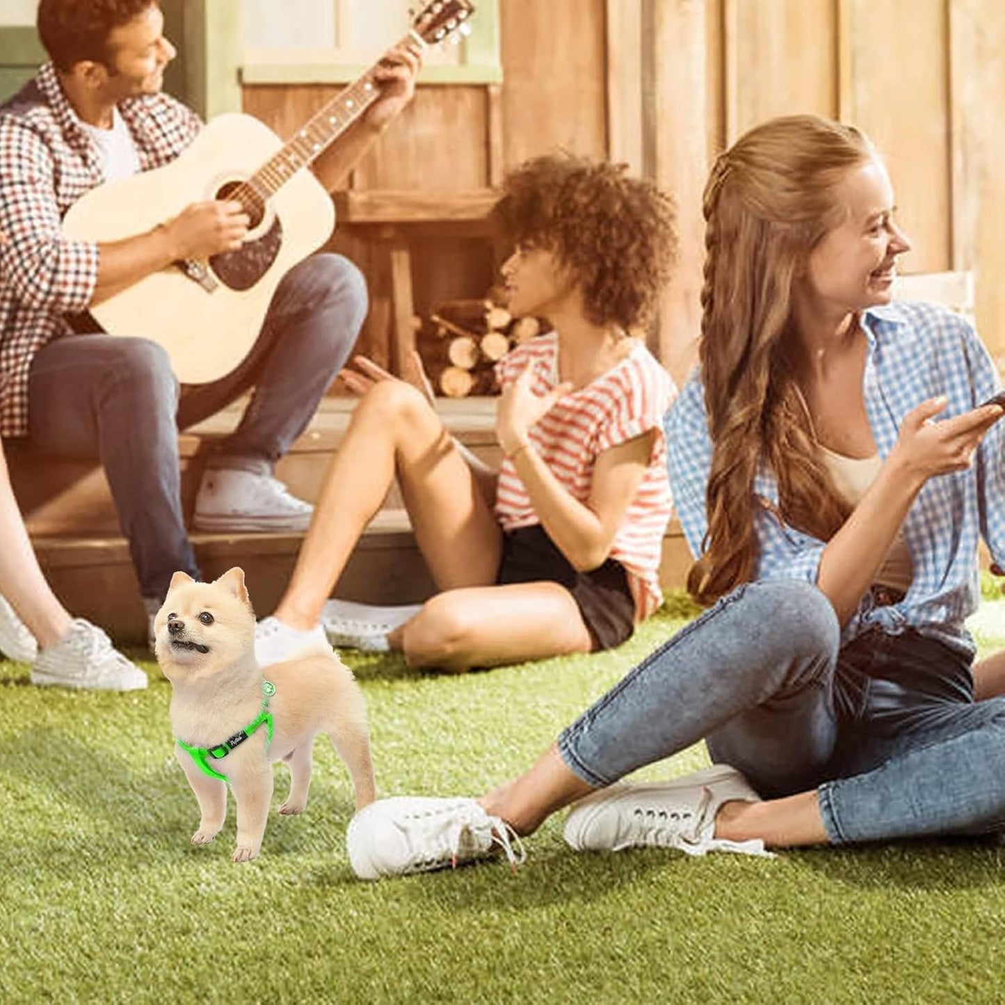 PUPTECK No Pull Dog Harness Soft Adjustable Basic Nylon Step in Puppy Vest Outdoor Walking with ID Tag, Green,S