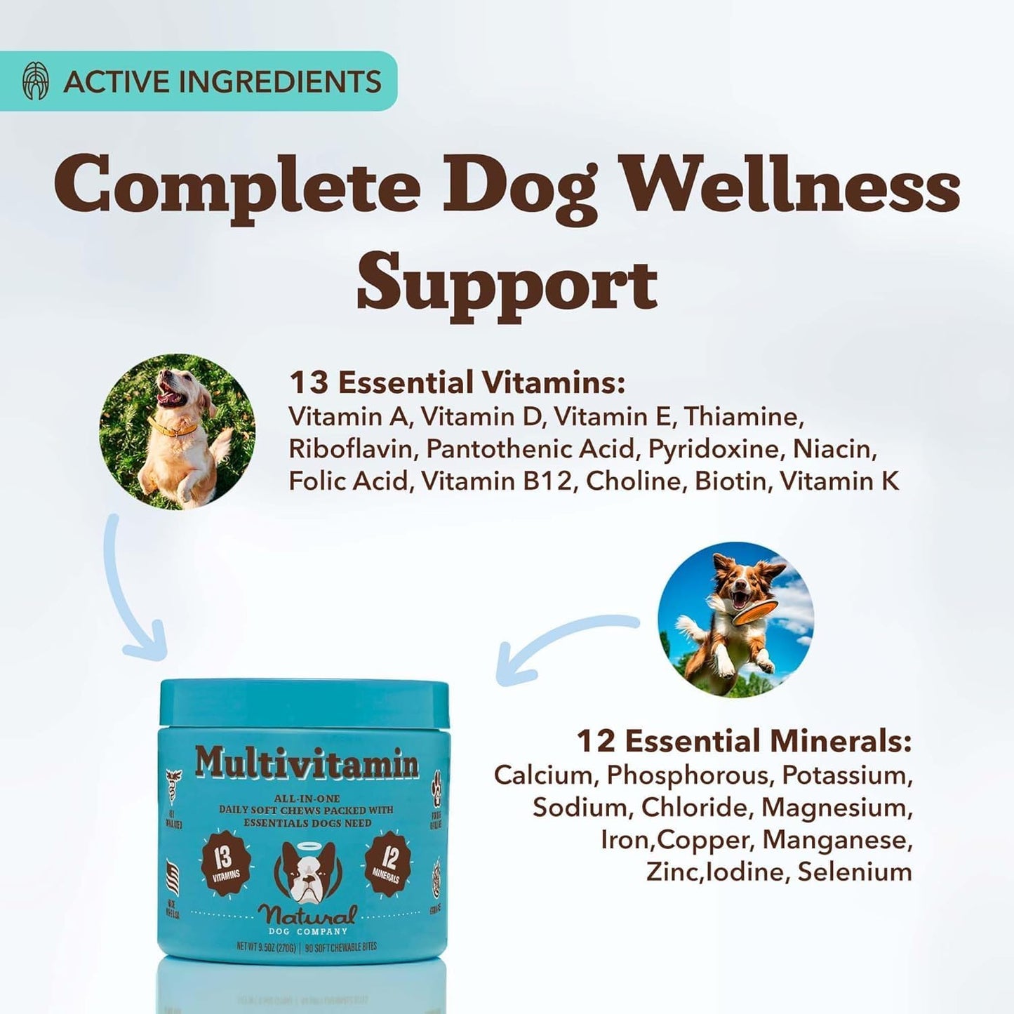 Natural Dog Company 25-in-1 Multivitamin Chews for Dogs – Daily Soft Dog Vitamins with Antioxidants, Zinc & Folic Acid – Supports Joints, Skin & Coat, Immune & Heart Health – All Ages, All Breeds