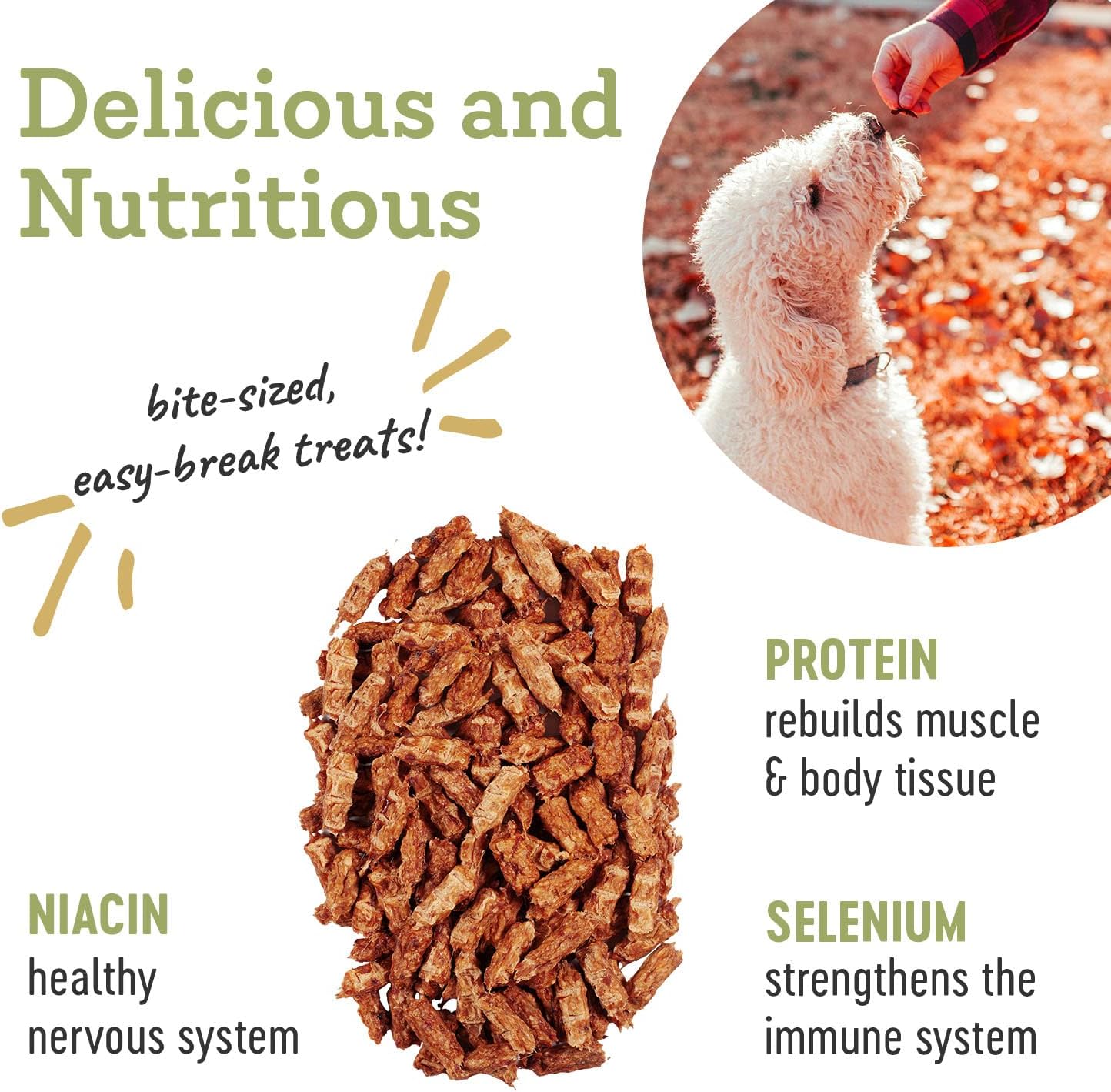 Farm Hounds - Chicken Trainers - Premium Natural Jerky for Dogs - 100% Humanely Raised Chicken - Easy-Break - Great for Training & Treats - No Added Fillers - Made in USA - 4.5oz - 1 Pack