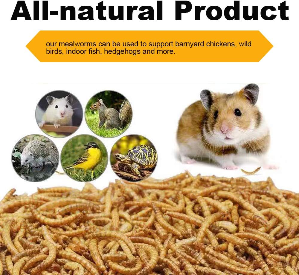 Dried Mealworms 5Lbs, High-Protein Bulk Mealworms, 100% Non-GMO Mealworm Treats for Birds, Chickens, Turtles, Fish, Hamsters and Hedgehogs All Natural Animal Feed