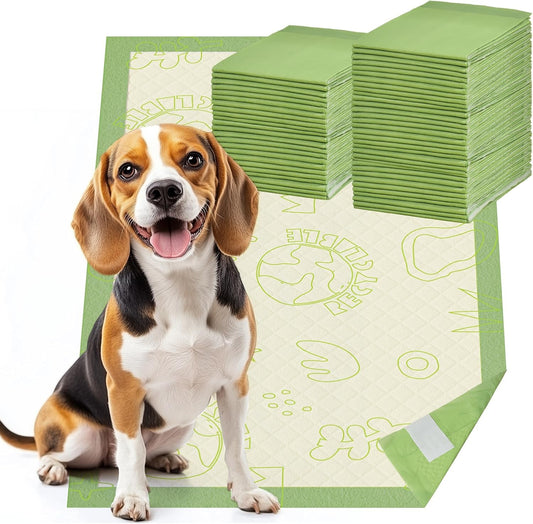 Dog Pee Pads with Adhesive Strips 50Count, 19"X30" Extra Large Disposable Pee Pads for Dogs, Non-Slip Puppy Training Pads for Crate/Cage/Carrier