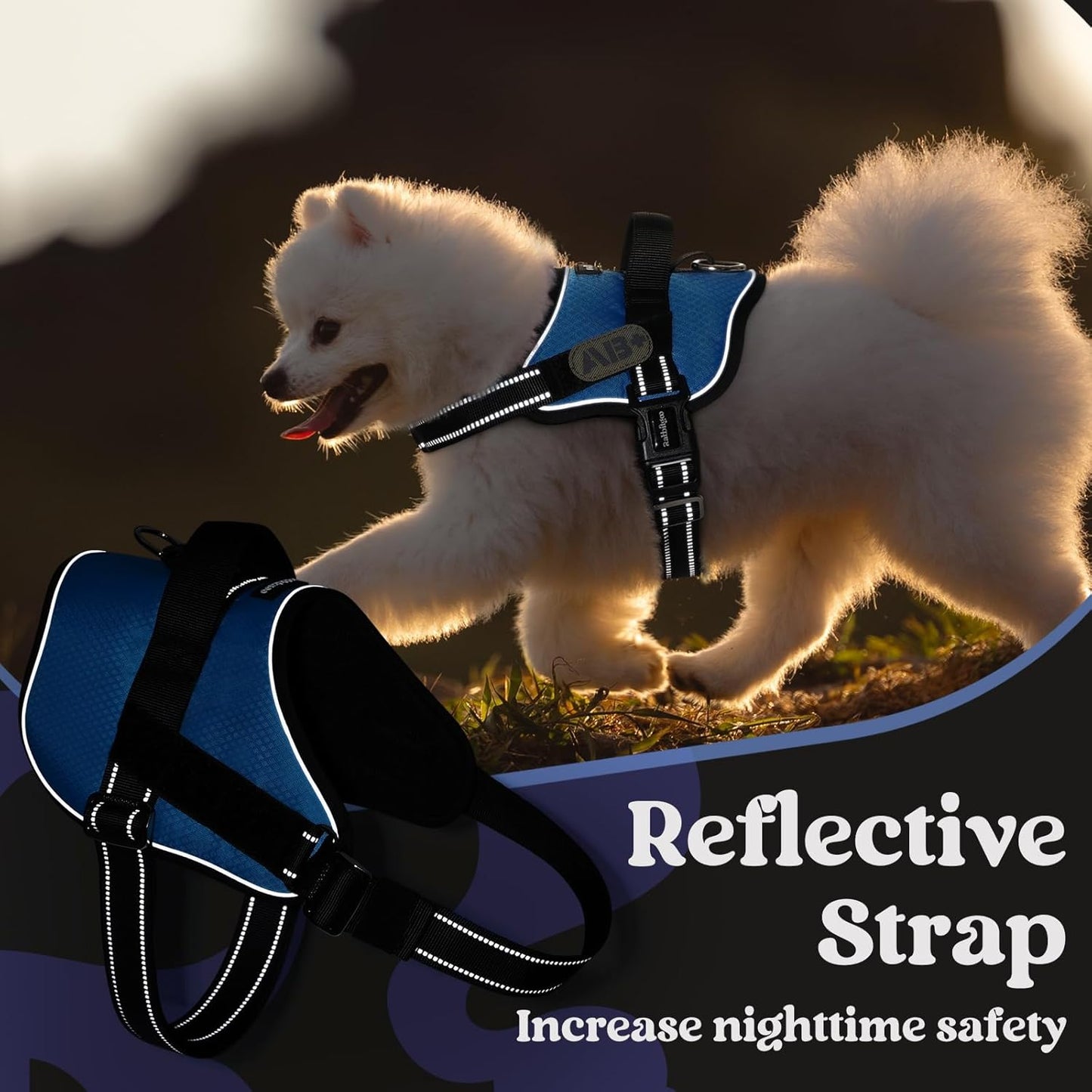 rabbitgoo Dog Harness Medium Sized, Easy On Pet Vest with One Buckle, No Pull Adjustable Service Harness with D-Ring & Handle, Reflective for Safety Walking, Training, Blue, M