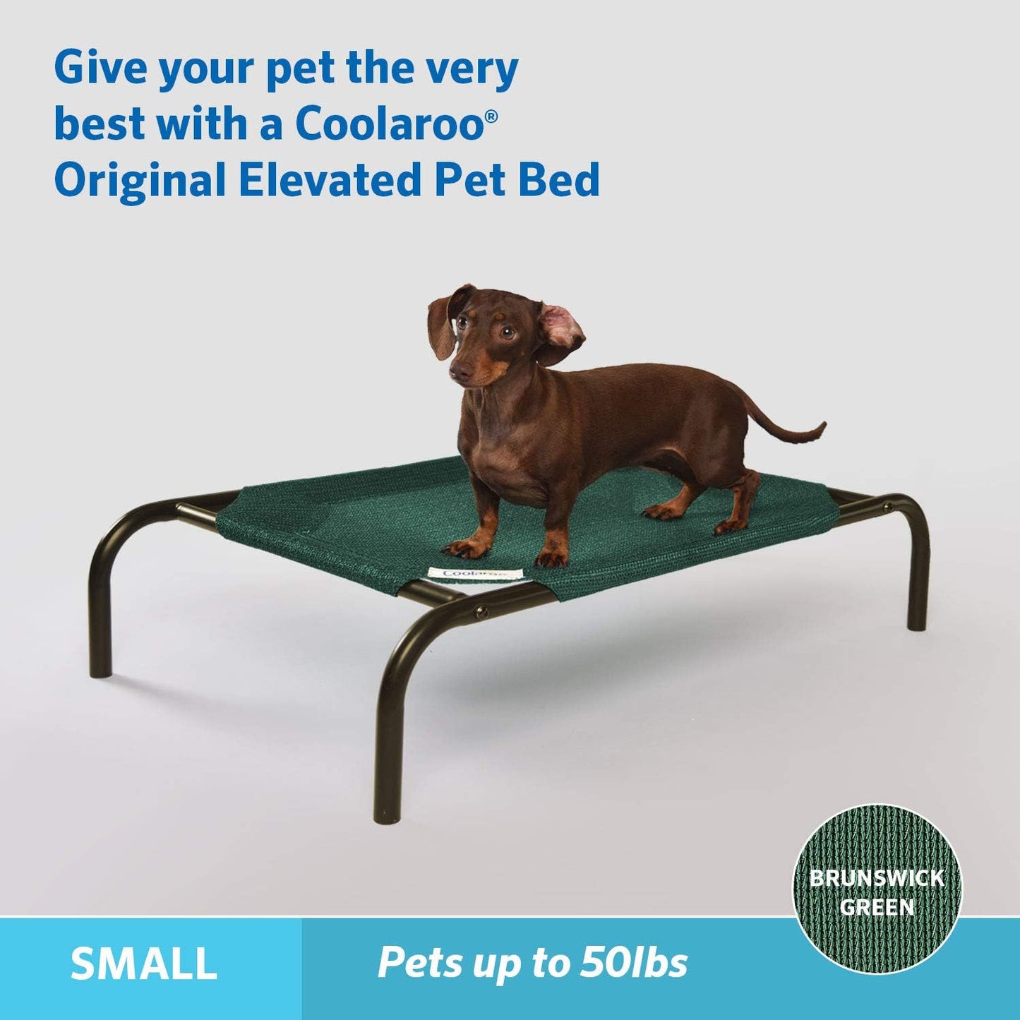 Coolaroo The Original Cooling Elevated Pet Bed,Brunswick Green, Small
