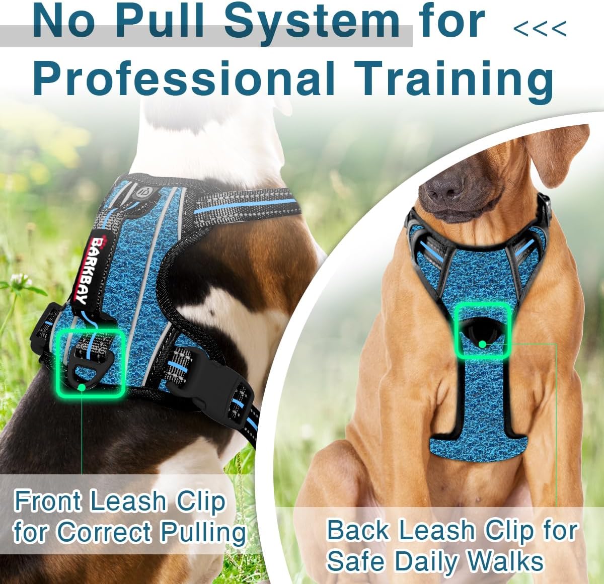 BARKBAY Dog Harness No Pull with ID Tag Pocket - Heavy Duty, Reflective, Easy Control for Large Dogs(Blue/Black,S)