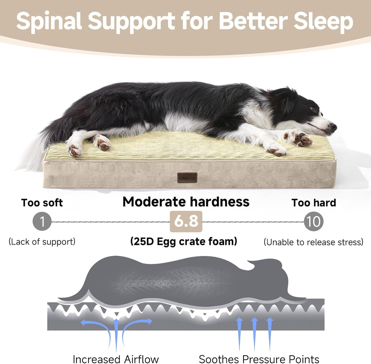 OhGeni Orthopedic Waterproof & Machine Washable Dog Bed for Medium Large Pets, Suitable for Crates, Cat Mat with 25D Egg Crate Foam, Removable Cover & Invisible Zipper, 35 Inches(Khaki)