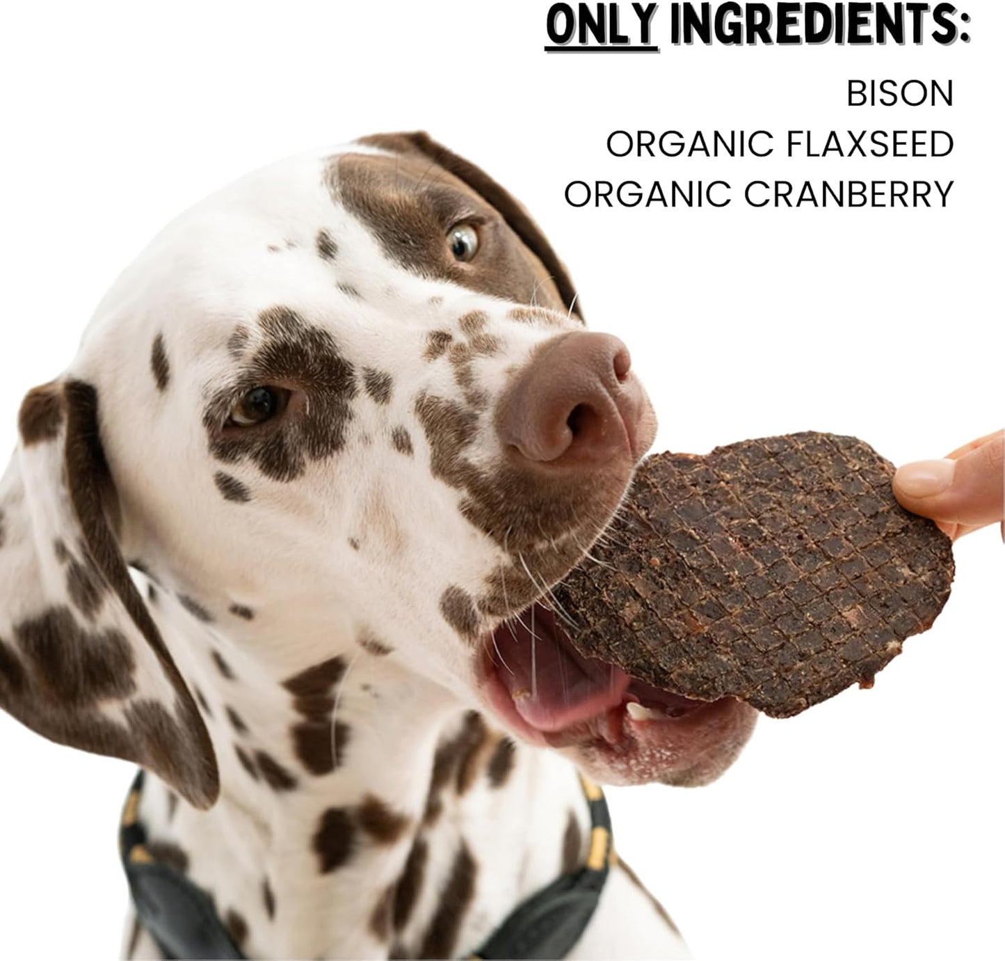 Winnie Lou Bison Burger Jerky Dog Treats – Limited Ingredient, Human Grade, Training Treats for Small, Medium & Large Dogs, Made in USA (1 Pack)