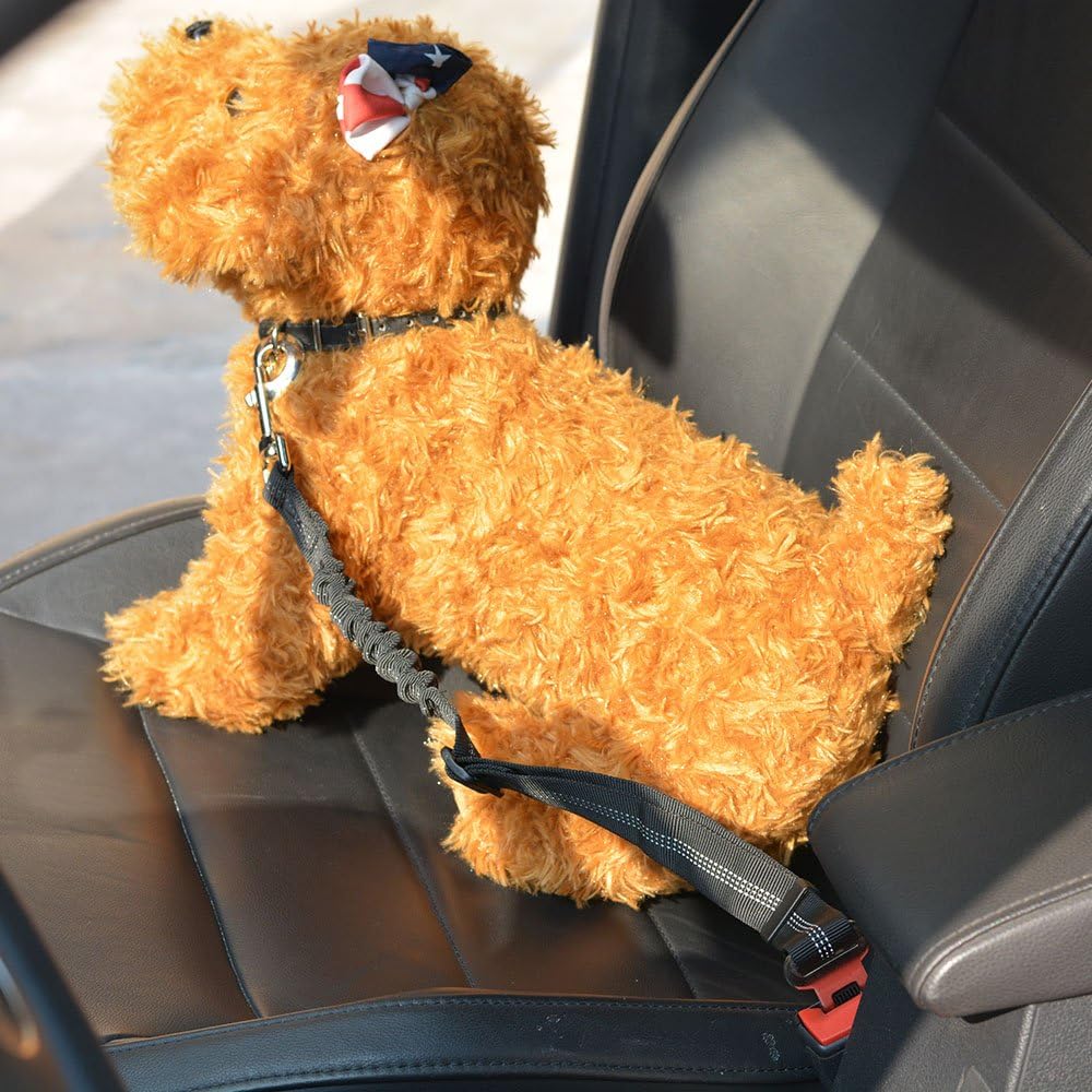 SlowTon Dog Seat Belt Harness for Car, Dog Car Harness Adjustable Mesh Breathable & Dog Seatbelt Safety Tether with Elastic Bungee for Small Medium Large Pets(Black, Single Clip, XS)