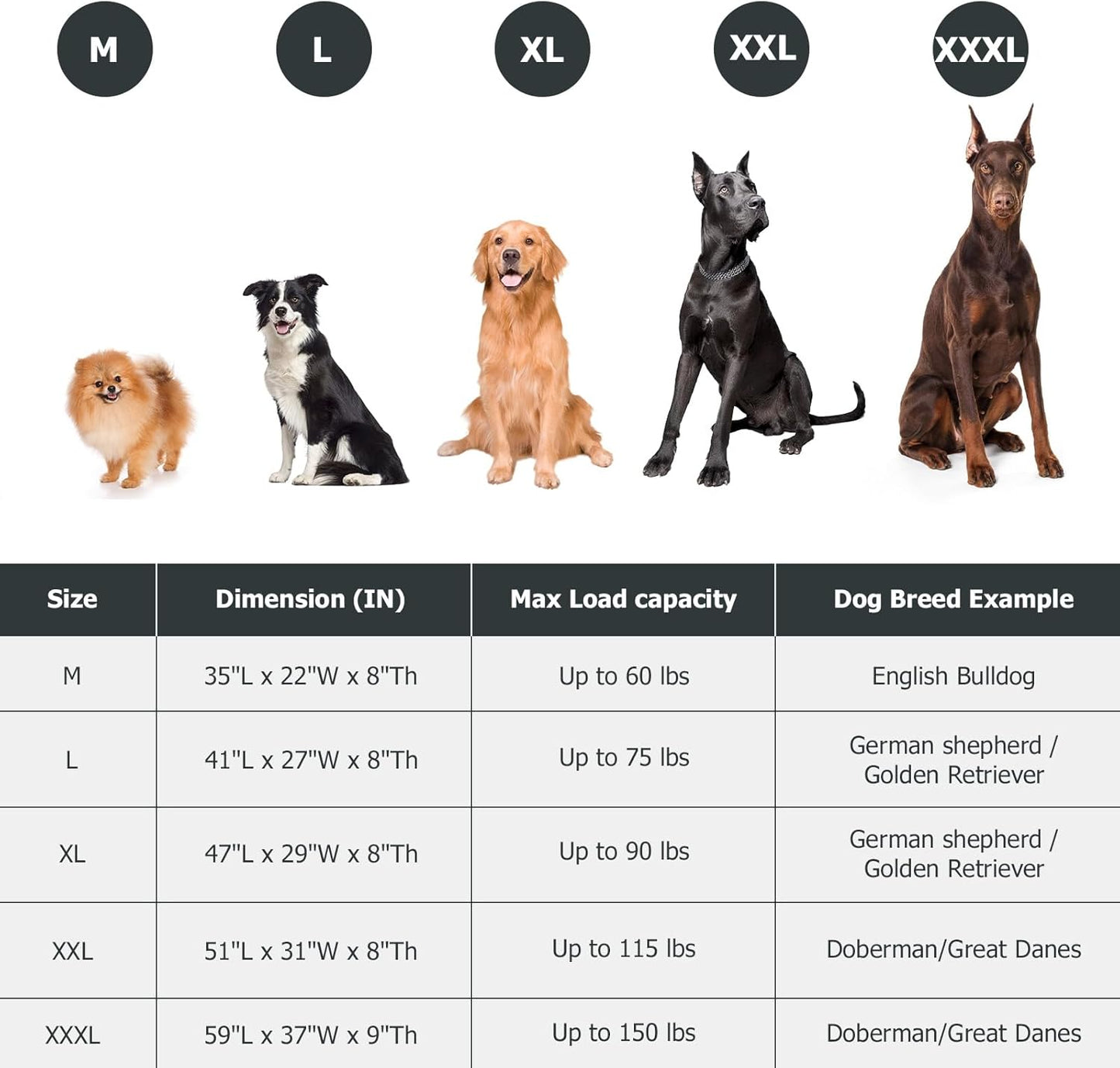 Elevated Dog Bed for Outdoor, Large Raised Dogs Cot for Training, Cooling Pet Beds with Washable Mesh, Indestructible Lifted Platform for Outside Camping, 41 inch Brown