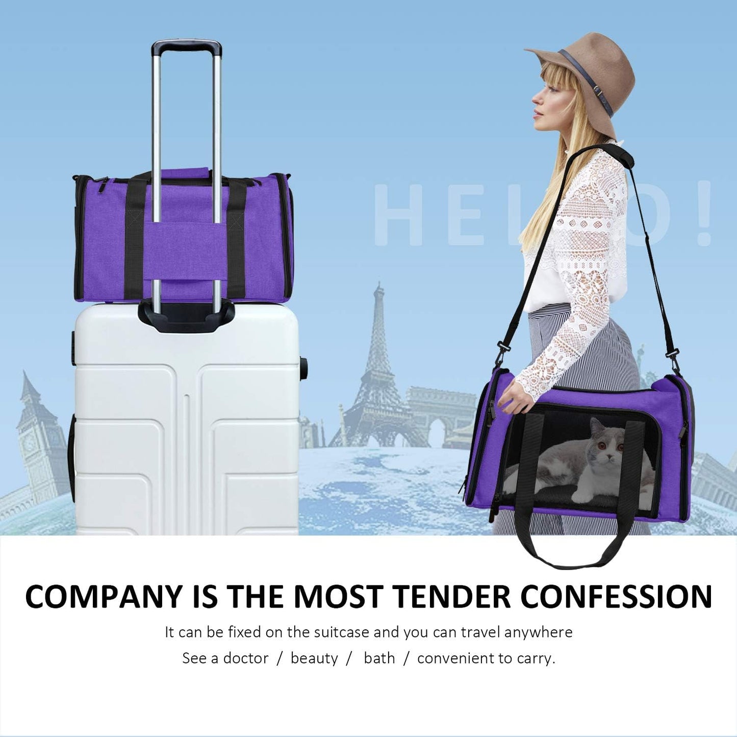 Pet Carrier for Small Medium Cats Dogs Puppies up to 15 Lbs, Airline Approved Small Dog Carrier Soft Sided, Collapsible Travel Puppy Carrier - Purple